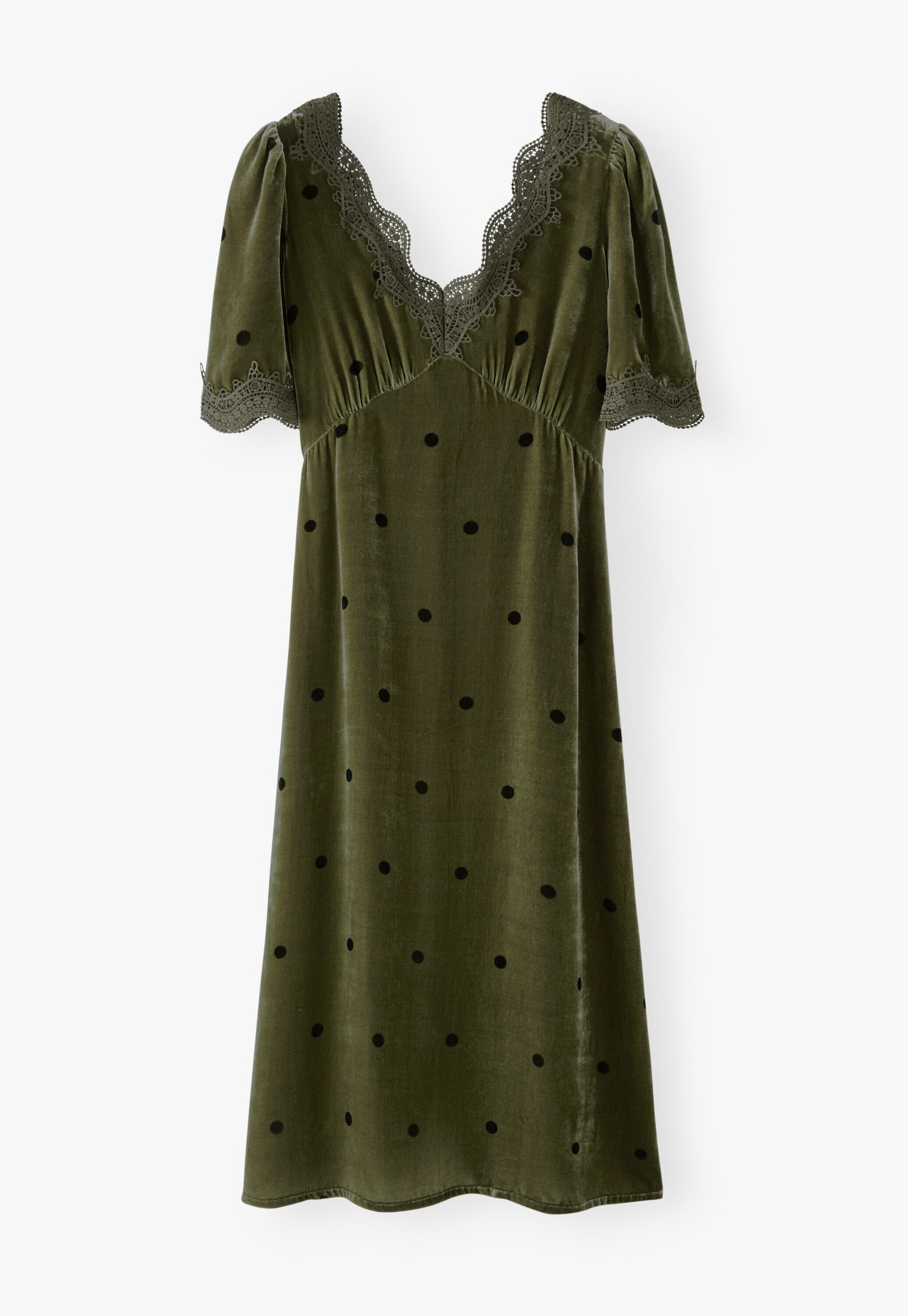 Samtkleid, Moos, large