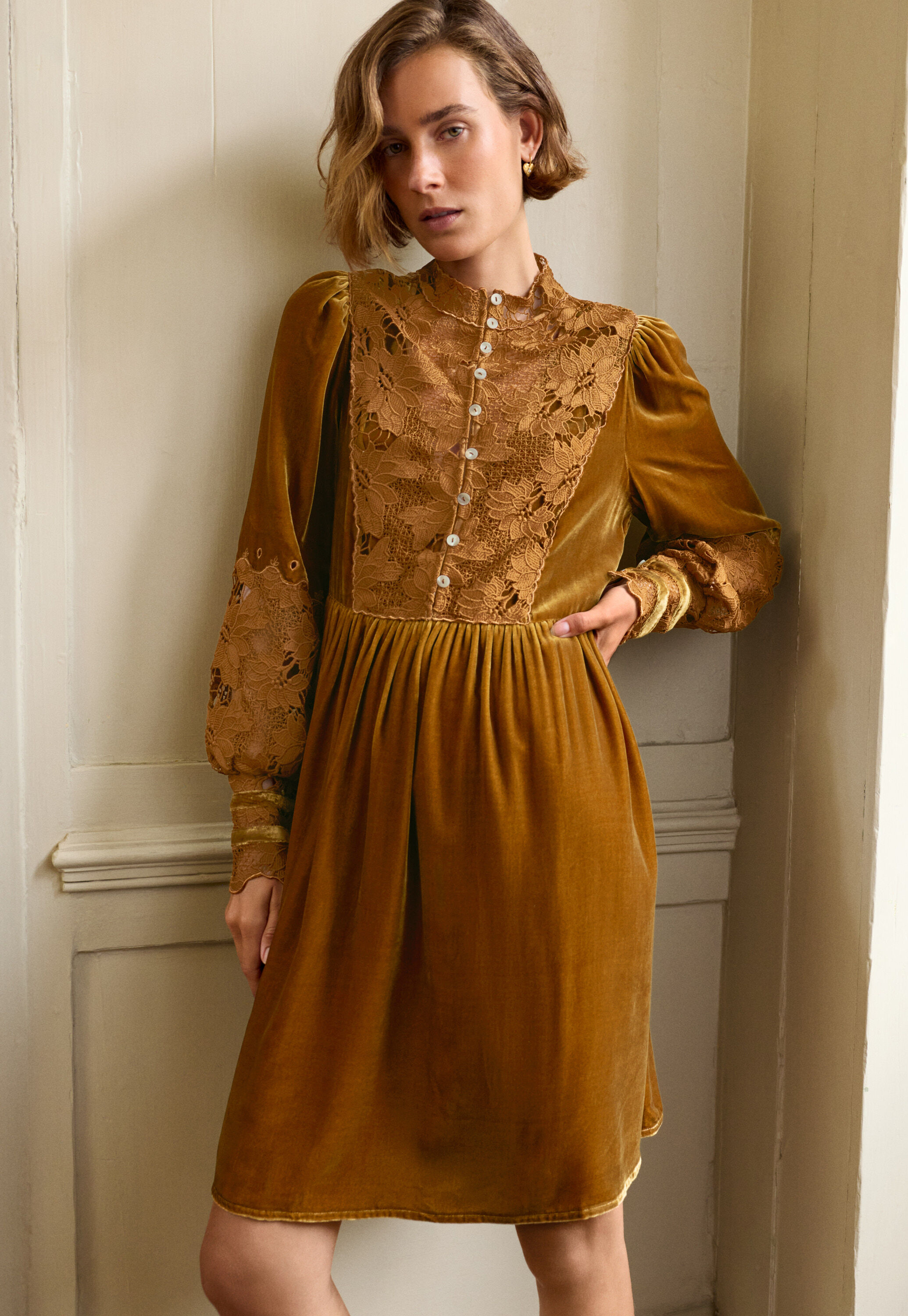 Samtkleid, Goldener Honig, large