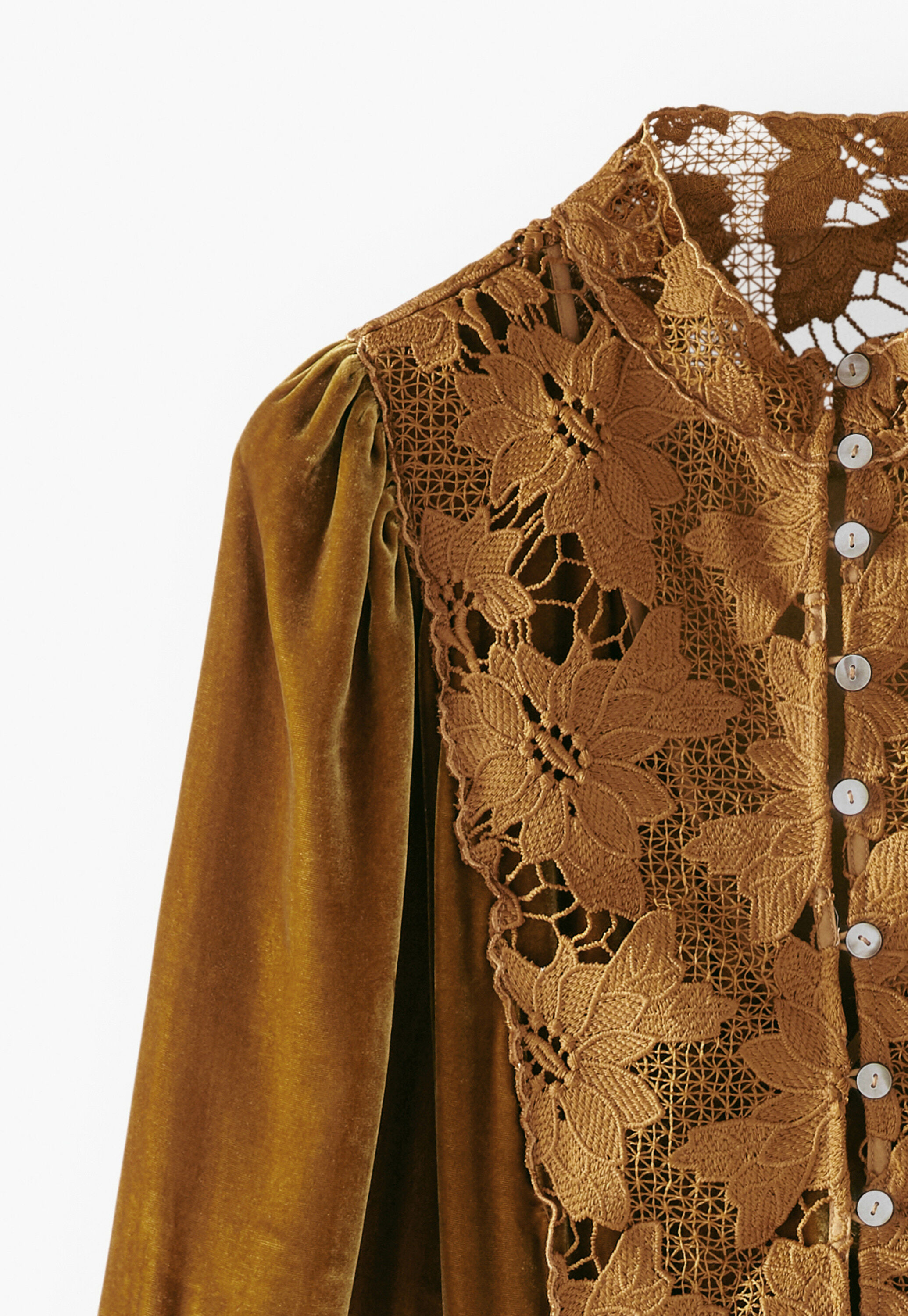 Samtkleid, Goldener Honig, large