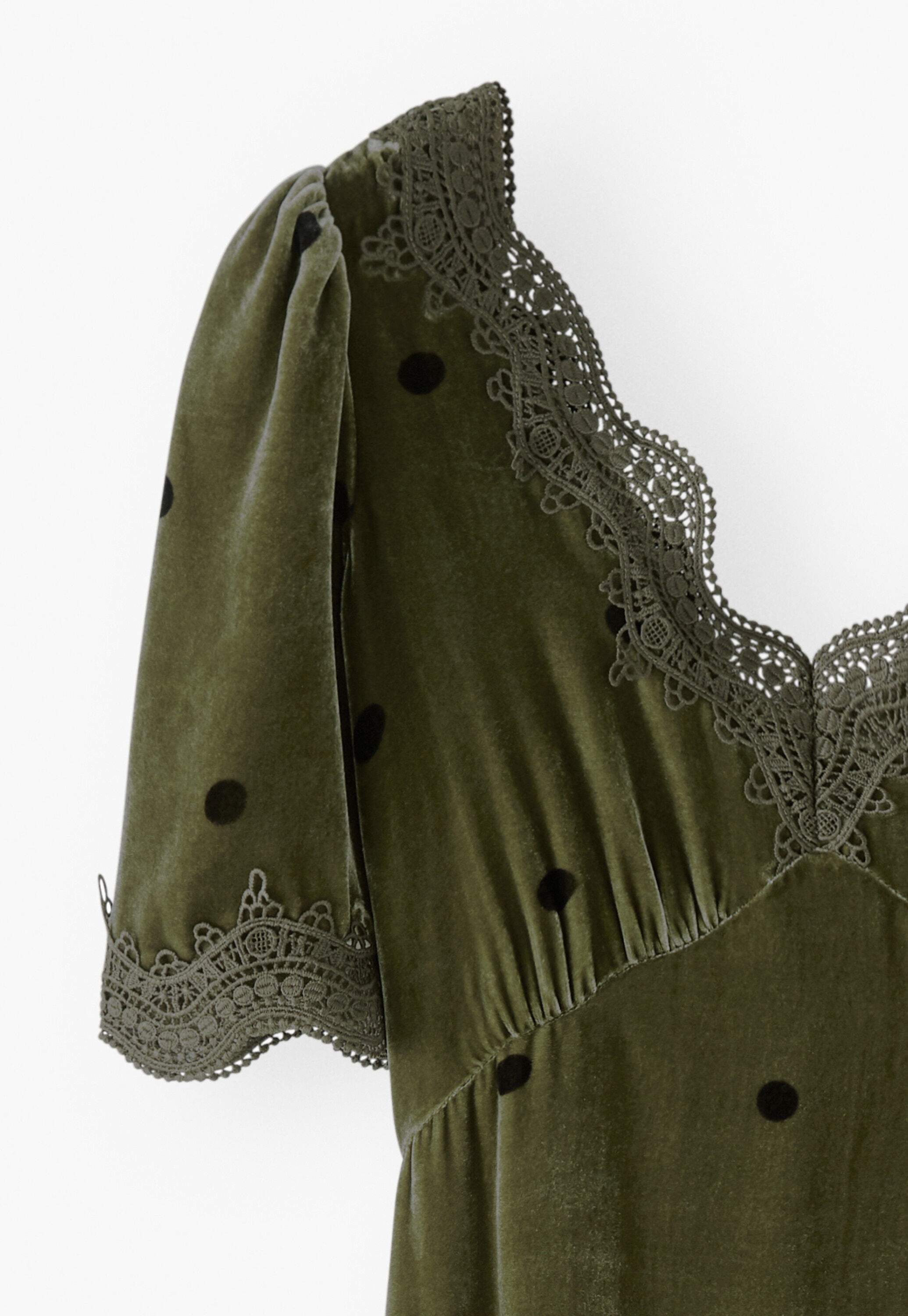 Samtkleid, Moos, large